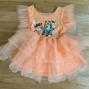 Bluey Halloween Girls Costume Size 12 Month Orange Tutu